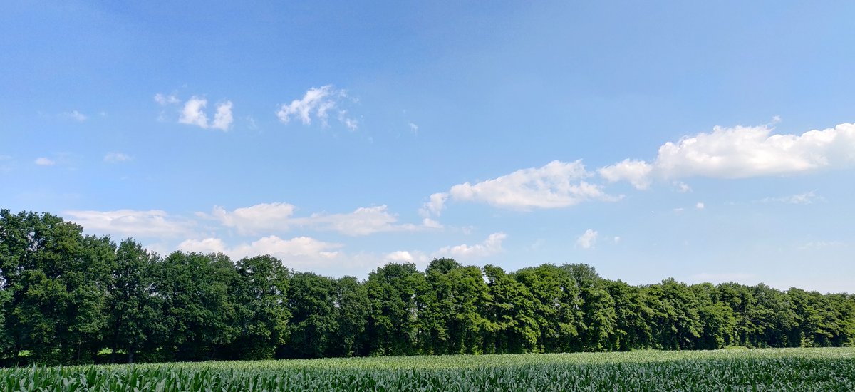 Sommerzeit